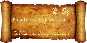 Mateicska Szilveszter névjegykártya